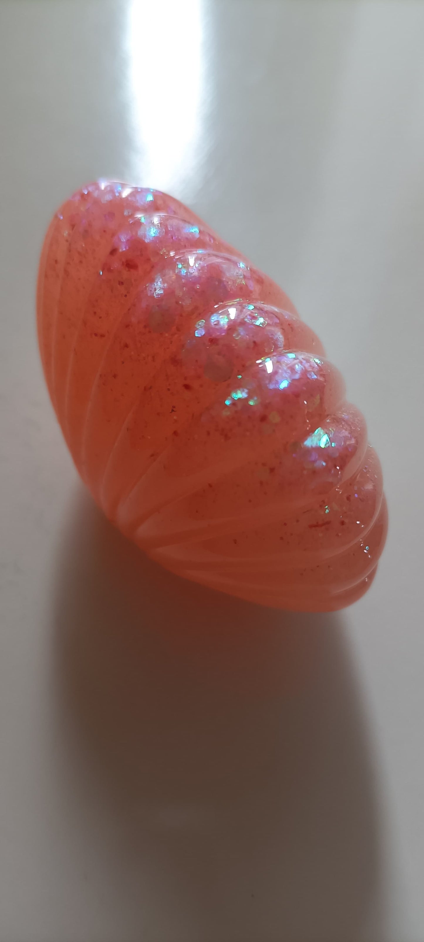 CONCHA DE MAR