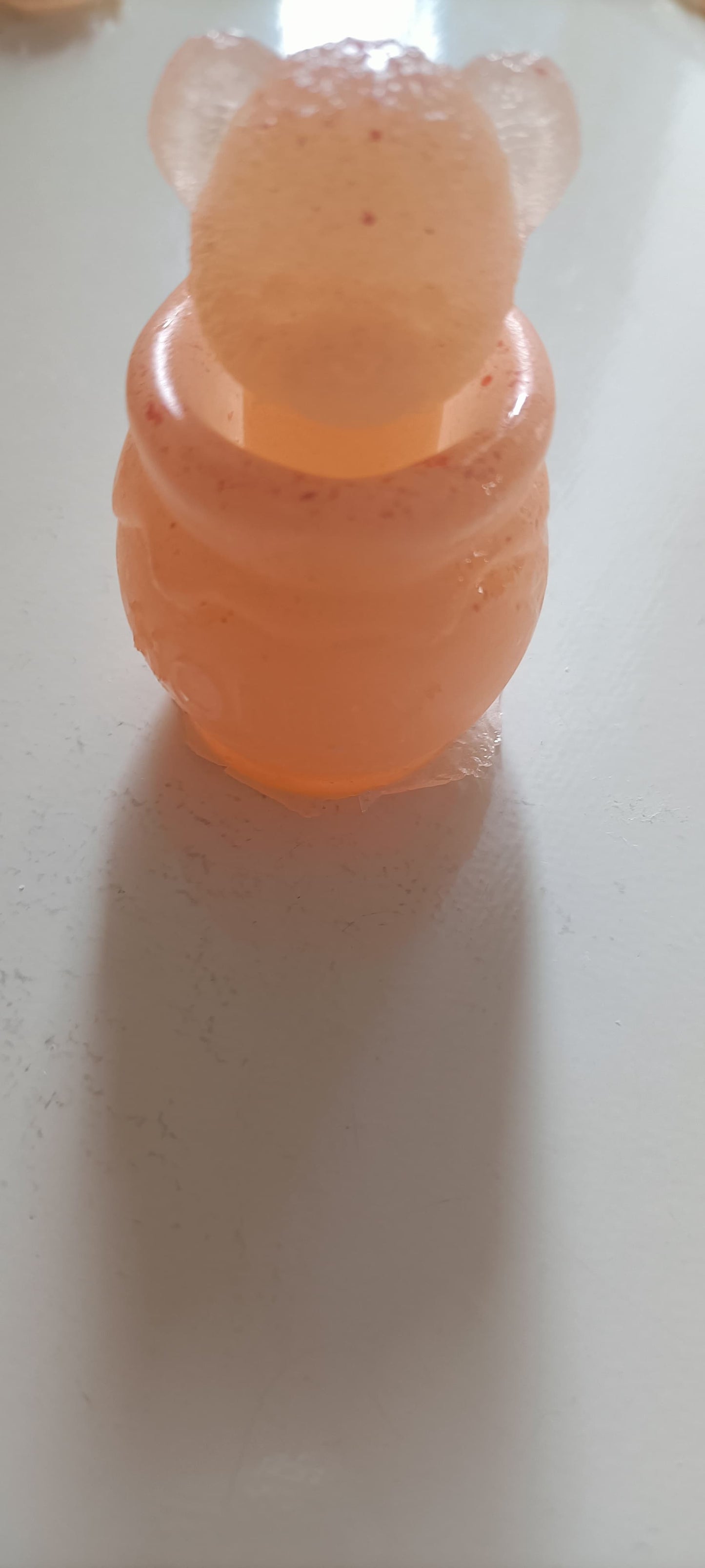 OSITO DETRO DE TARRO DE MIEL