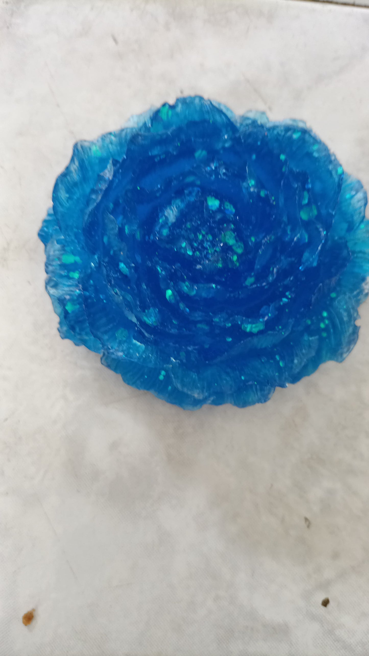 CAMELIA