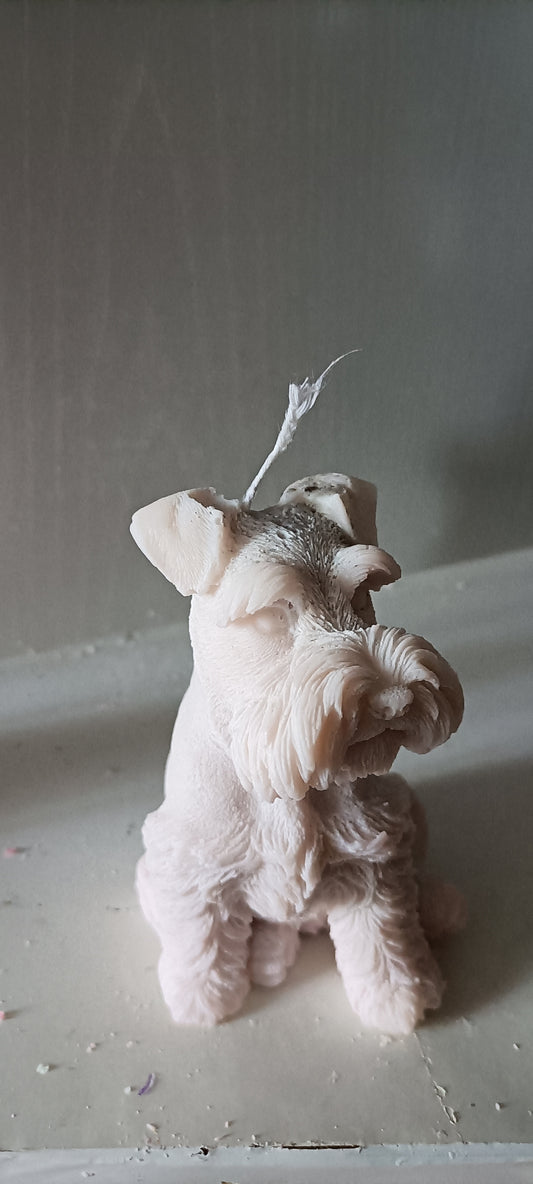 PERRO SCHNAUZER