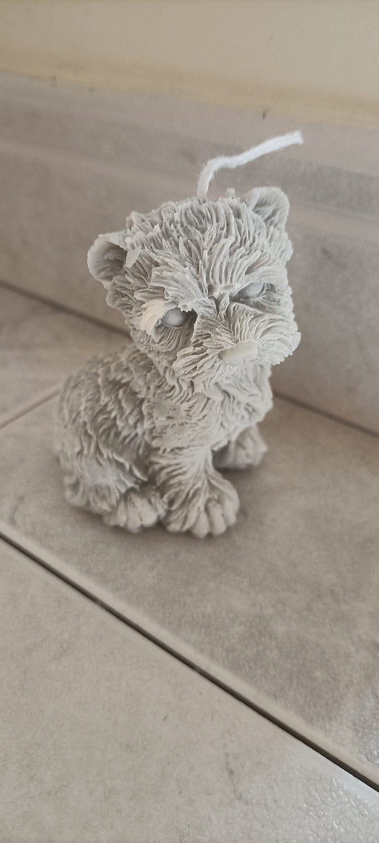 PERRITO SCHNAUZER